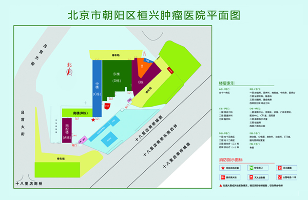 老妇操逼sese北京市朝阳区桓兴肿瘤医院平面图